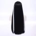 Morticia Long Straight Black & White Wig | Women's Widows Peak Costume Wig - Perfect for Halloween & Cosplay - Buy Online on GoSupps.com