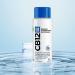 CB12 Mouthwash - 250ml (Pack of 2) | Zinc Acetate & Chlorhexidine for 12-Hour Bad Breath Control | Alcohol-Free Mint Flavor - Buy Online on GoSupps.com