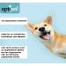 Optipet 3-in-1 Animal Brush for Dogs & Cats | Shorthair | Safe Massage Wet Use | Strengthens Fur & Removes Hair | Washable & Easy Care - Buy Online on GoSupps.com