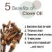 Clove Oil (Syzygium aromaticum) 100% Pure & Natural Undiluted Uncut Essential Premium Aromatherapy Oil - 100ml Clove 100 ml - Buy Online on GoSupps.com