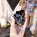 Zenkeeper 1lb Black Obsidian Crystal Rocks - Rough Gemstones for Tumbling, Jewelry Making & Healing - Buy Online on GoSupps.com