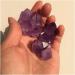 Crystal Rough Natural Crystal Rough Stone Crafts Natural Rough Amethyst Crystal Gemstone Flower Metaphysicalraw Stone for Jewelry Making - Buy Online on GoSupps.com