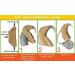 Buy Ear Gear Cochlear Corded - Protects Implants from Dirt Sweat & Moisture | Fits Most Brands | Chocolate Brown - Buy Online on GoSupps.com