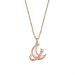 Necklace Star and Moon Surrounding Necklace New Silver Shell Clavicle Chain Fashion and Elegant Valentine's Day Gift for Girlfriend Ladies Necklace