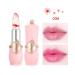 Paminify 2Pcs Jelly Clear Crystal Flower Magic Lipstick | Color Changing PH Temperature Tinted Lip Balm | Nourishing Moisturizing Lip Stick | Labial Magicos 03+06 - Buy Online on GoSupps.com