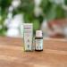 NUTRI & CO Vitamine D3 V g tale issue du Lichen 100% Naturelle - 1000 U.I par Goutte - 2000 UI/j - Flacon 15ml - Sant des Os & Immunit - pour Adultes et Enfants - Vegan Fabriqu en France Lichen 15 ml (Lot de 1) - Buy Online on GoSupps.com