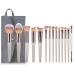 Buy 14 Champagne Gold Makeup Brush Set - Eyebrow & Loose Powder Brushes | Premium Beauty Tools - Buy Online on GoSupps.com