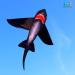 HENGDA Shark Kite - Easy to Assemble and Fly | for Kids and Adults | Beach, Park, Yard | 49x53in Black - Buy Online on GoSupps.com