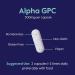 Buy BESTVITE Alpha GPC 600mg - 240 Vegetarian Capsules | Vegan Non-GMO Gluten-Free - Best Price & Fast International Shipping - Buy Online on GoSupps.com