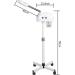 NGARY Vapeur Facial De Beaut Machine D'esth ticienne Vapeur Chaude avec Pulv risateur Et Roues Rotatifs 360 pour Les Soins De La Peau du Spa du Salon De Beaut Domicile Personnel - Buy Online on GoSupps.com