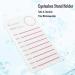 Eyeline Holder Scale Palette for Soft False Eyelash Extensions | Stand for Oversized Props - Premium Quality Eyelash Extension Accessory (2#) - Buy Online on GoSupps.com