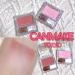  Canmake Canmake Cheek Powder | Shading Powder Contains 10 Colors (PW16) - Buy Online on GoSupps.com