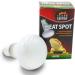 Terra Exotica 60W Heat Spot Lamp for Reptiles - 3-Pack Terrarium Lighting | 25W 40W 75W 100W 150W Options Available - Buy Online on GoSupps.com