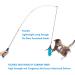 Vovamo Retractable Cat Wand Toy with 3 Interactive Feather Teaser Refills - Perfect Cat Exercise and Play Gift Set - Buy Online on GoSupps.com