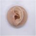 3D Life-Size Silicone Ear Model - Realistic Rubber Human Ear for Acupuncture Science Classes & Anatomical Studies (Left Ear) - Buy Online on GoSupps.com