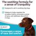 K9 Choice 3mg Melatonin for Dogs - 100 Tablets - Perfect for Small and Medium Sized Dogs! K920003-CA - Buy Online on GoSupps.com