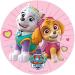 Dekora Paw Patrol Skye & Everest Edible Cake Topper - 20 CM Round Birthday Decoration - Buy Online on GoSupps.com