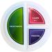 Diabetes Portion Plate Set of 4 | Divided Sections for Healthy Eating & Portion Control | Ideal for Mediterranean Bariatric & Macro Diets - Buy Online on GoSupps.com