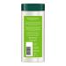Biotique Bio Gotu Kola Smooth Skin Lotion for Dry and Dehydrated Body 180 ml - Buy Online on GoSupps.com