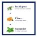 Dr Teal's Aromatherapy Stress Relief Bundle - Body Cream (8oz) & Spray (6oz) - Eucalyptus Citrus Spearmint - Buy Online on GoSupps.com