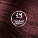 Naturtint Permanent Hair Color 4M Mahogany Chestnut - Pack of 6 | Ammonia-Free, Vegan, Cruelty-Free | Up to 100% Gray Coverage, Long-Lasting Results - Buy Online on GoSupps.com