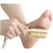 FRCOLOR Scratcher Pedicure Brudh 2pcs Presser Foot Wooden Double Sided Foot Pumice Stone Wooden Pumice Stone 1 count (Pack of 1) - Buy Online on GoSupps.com