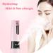 RIYAN Face Portable Handheld Nano Sprayer Device Humidifier Moisture in Your Skin Moisten and Sooth Tired Beauty Instrument Mist (Pink) - Buy Online on GoSupps.com