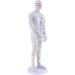 harayaa Human Body Point as described Male - Buy Online on GoSupps.com