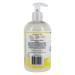Kirk's Odor-Neutralizing Castile Hand Soap â€“ Lemon & Eucalyptus, Moisturizing, 12 Fl Oz Pump - Buy Online on GoSupps.com