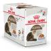 Royal Canin Cat Food Health Nutrition Ageing +12 in Jelly 12 x85g - Buy Online on GoSupps.com