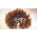 Indigo Herbs Irish Moss 100g - Raw, Pure, Wild Harvested Sea Moss | Non-GMO - Buy Online on GoSupps.com