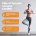 TrySafe 3-in-1 1200mg Turmeric Curcumin Supplement with 90mg Ginger & 6mg Black Pepper Extract - High Absorption Turmeric Curcumin Complex Proprietary Blend Daily Joint and Immune Health Support* - Buy Online on GoSupps.com