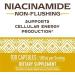 Nature's Way Niacinamide 500mg - 100 Capsules | Support Skin & Health - Buy Online on GoSupps.com