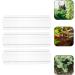 GANAZONO 3pcs Cucumber Mold Square Cucumber Growing Molds Solar Water Fountain Stereotypes Pp Ginseng Fruit - Buy Online on GoSupps.com