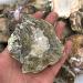 1pc raw Natural Silicified Wood Quartz s Rough Crystal Grain Stone Crafts for Decorative Gift Natural Stones and Minerals - Buy Online on GoSupps.com