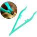 FOMIYES 60 Pcs Animals Reptile Feeding Clip Feeding Clamp Living Body 20pcsx3pcs Greenx3pcs - Buy Online on GoSupps.com