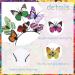 Orgoue Butterfly Headband Butterfly Fascinator Butterfly halloween Headband Festival Hair Accessories with 8 Butterfly Hair Clips for Adults Women Girls for Halloween Carnival Party Festivals Multicolor - Buy Online on GoSupps.com