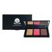 Glow & Grace Pro Cheek Palette (Pop)