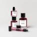 Cherry Fiesta Perfume Unisex Eau de Parfum for Men & Women Citrus Floral & Sweet Fragrance with Long Lasting Notes of Mandarin Pear Anise Cherry Vanilla & Patchouli 1.7 Fl Oz 1.7 Fl Oz (Pack of 1) - Buy Online on GoSupps.com
