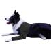 Dog recovery suit cone collar alternative abrasion -resistant dogs recreational shell pet wounds prevent licking bite wet and infection washable and waterproof (black m) m black