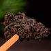 HELLOYOUNG 357g Th Pu'er naturel chinois original du Yunnan Th vert biologique labor selon des techniques traditionnelles la saveur intense et au go t doux et sucr Th pu-erh Pu'er Tea - Buy Online on GoSupps.com