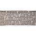 Tetra 77806-03 Fin Goldfish Flakes 1.83-Ounce 28 g (Pack of 1) Goldfish Flakes - Buy Online on GoSupps.com