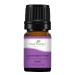 Plant Therapy Lavender Fine Essential Oil 5 mL (1/6 oz) 100% Pure Undiluted Therapeutic Grade