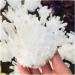 Crystal 500-800g Natural White Ghost Quartz Crystal Cluster Crystals raw Gemstone Specimen for Home&Office Decoration fengshui ERBDRGAZ (Size : 500-600g) - Buy Online on GoSupps.com