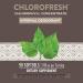 Nature's Way Chlorofresh - 2 Pack of 90 Softgels - Buy Online on GoSupps.com