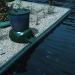 Pisces Automatic Pond Fish Feeder - Convenient and Reliable Feeding Solution - Buy Online on GoSupps.com