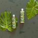 Faith In Nature Natural Jojoba Body Wash Enriching Vegan & Cruelty Free No SLS or Parabens 400ml Jojoba 400 ml (Pack of 1) - Buy Online on GoSupps.com