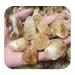 500g Natural Polished Yellow Quartz Tumbled Stone Citrine Crystal Stone Obelisk