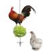Vokowin Chicken Veggies Skewer Fruit Bag Set Hens Feeder Toy Chicken Food Stick Holder Vegetable String Bag Fruit Holder Stainless Steel Hens Large Birds Treat Skewer (K104-2) - Buy Online on GoSupps.com