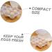 Zerodeko 2pcs Egg Storage Box Plastic Trays Eggs Fridge Egg Holder Egg Holder Dispenser Flat Shoes Organizer - Buy Online on GoSupps.com
